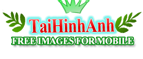 wap tai hinh anh sex /></a>


<meta name=